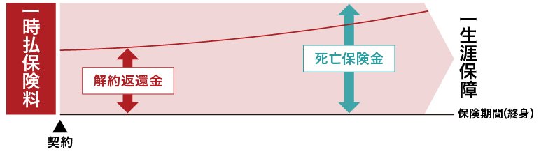 一時払終身保険のイメージ