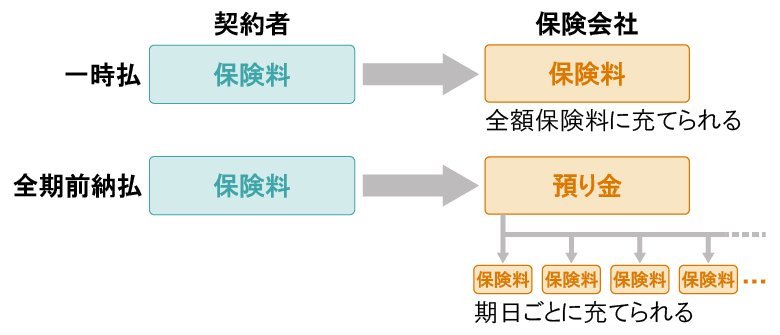 一時払と全期前納払の違い