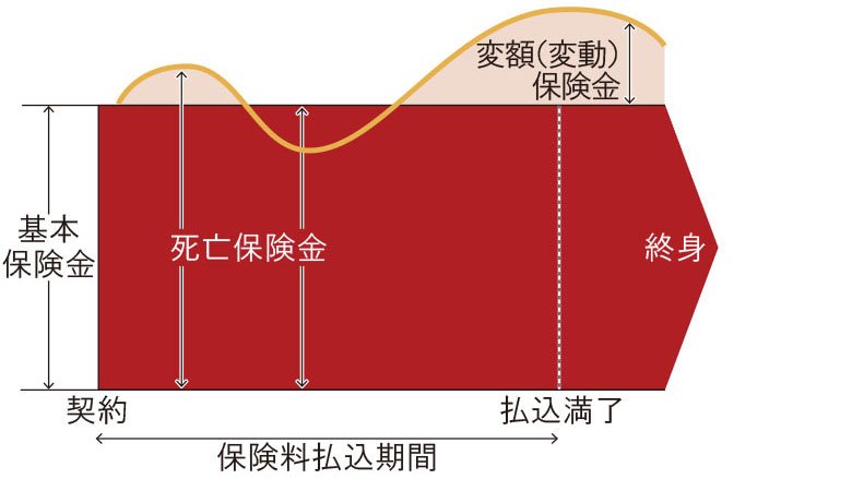 終身型変額保険の運用実績が良かった場合